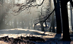 華宇光電,昆明網(wǎng)站建設(shè)，昆明網(wǎng)站設(shè)計(jì)，昆明網(wǎng)站制作,昆明網(wǎng)站建設(shè),云南網(wǎng)站建設(shè),昆明網(wǎng)站設(shè)計(jì),云南網(wǎng)站設(shè)計(jì),昆明網(wǎng)站制作,云南網(wǎng)站制作,商城網(wǎng)站建設(shè),政府網(wǎng)站建設(shè),集團(tuán)網(wǎng)站建設(shè),電商平臺(tái)建設(shè),高端網(wǎng)站建設(shè),微網(wǎng)站建設(shè)